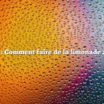 Question : Comment faire de la limonade au sumac